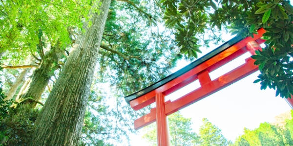 開運の待ち受け34選 幸運が訪れる最強の待ち受けを紹介します ページ 3 占いたいむず おまじない 開運の待ち受け34選 幸運が訪れる最強の待ち受けを紹介します ページ 3 占いたいむず おまじない