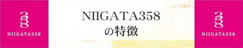 NIIGATA358の特徴