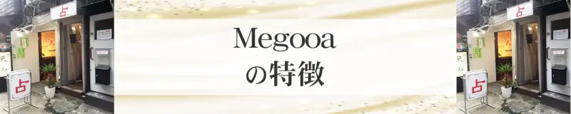 Megooa（メグーア）の特徴