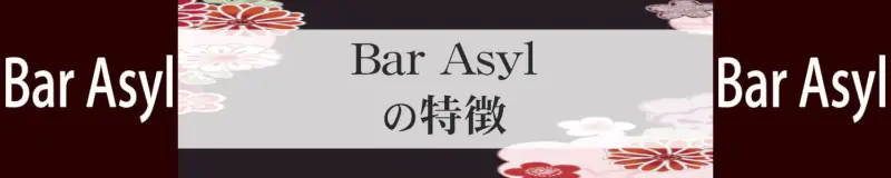 Bar Asyl（バーアジール）の特徴