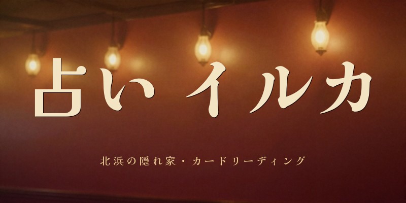 占い イルカ