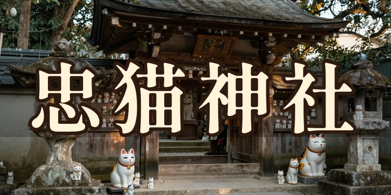 忠猫神社