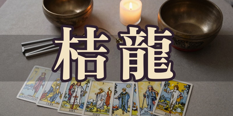 桔龍