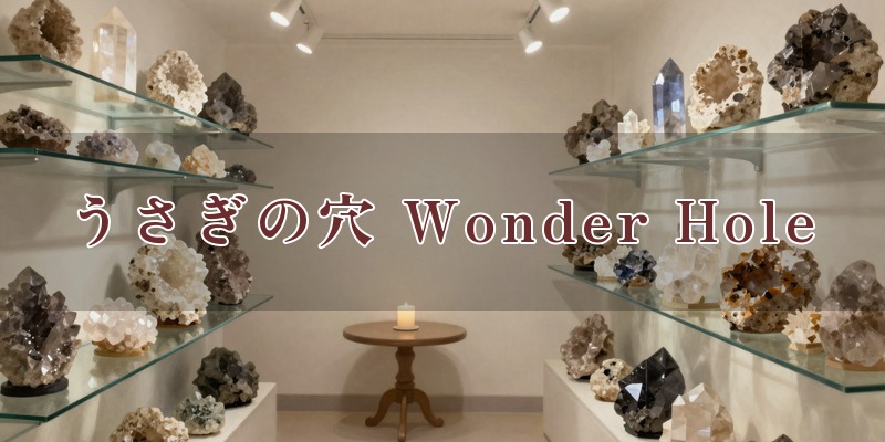 うさぎの穴 Wonder Hole