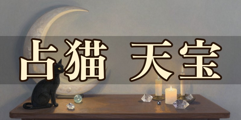 占猫 天宝(maria)三日月