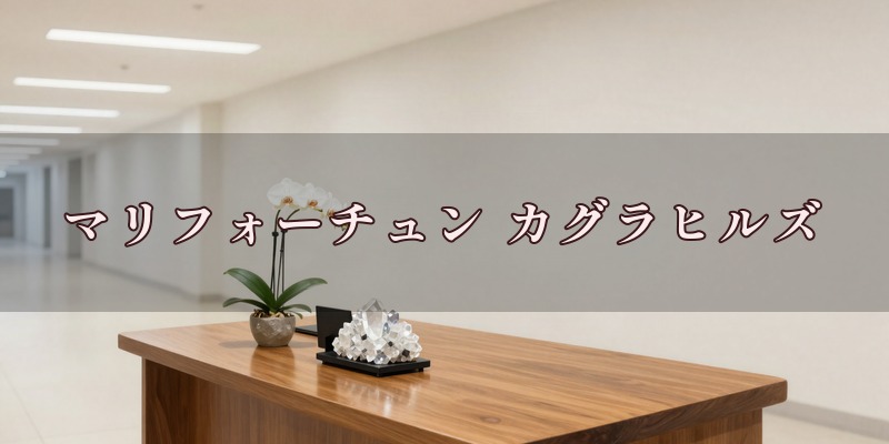 マリフォーチュン カグラヒルズ神楽坂店のイメージ