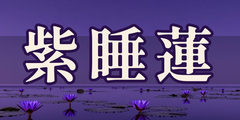 宇都宮 占い師 紫睡蓮｜宇都宮市鶴田町の占い師
